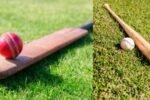 Baseball Bat vs. Cricket Bat: Detailed Comparison