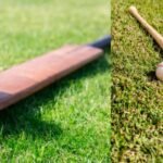 Baseball Bat vs. Cricket Bat: Detailed Comparison