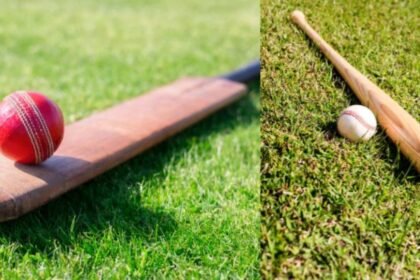 Baseball Bat vs. Cricket Bat: Detailed Comparison