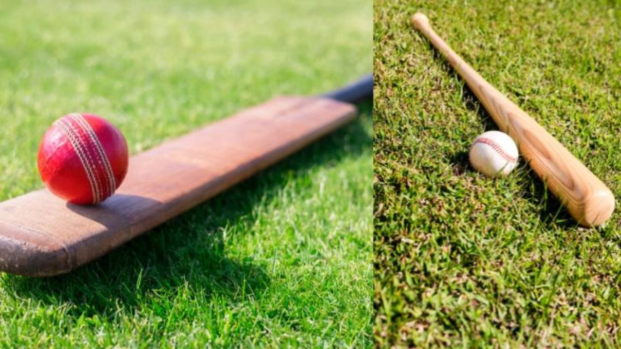 Baseball Bat vs. Cricket Bat: Detailed Comparison